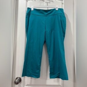 Ricki's Teal Ankle Pants